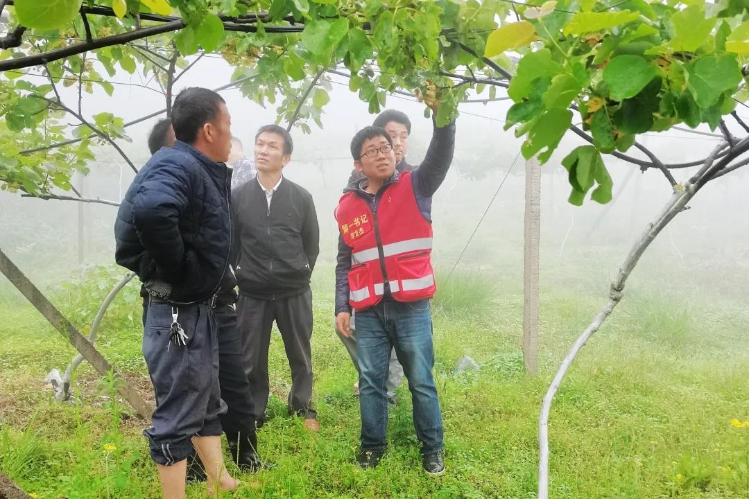 百家乐平台大全